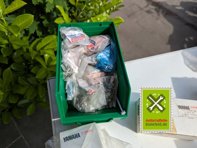 PXL_20240527_145541979